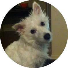 Portrait of Milo