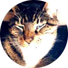 Portrait of Smokey